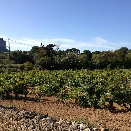 別荘 La Dans Les Vignes A - Parking Et Jardin *