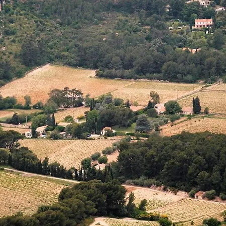 La Dans Les Vignes A - Parking Et Jardin *